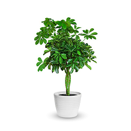 Product Title 3
